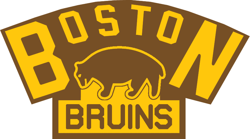 Boston Bruins 1924-1926 Primary Logo DIY iron on transfer (heat transfer)